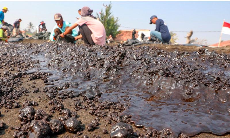  Tumpahan Minyak Pertamina di Kepulauan Seribu Terus Dibersihkan Petugas