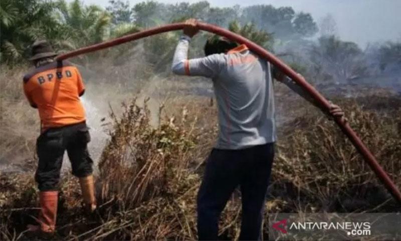  30 Kali Kebakaran Hutan dan Lahan di Lokasi Baru Ibu Kota Negara