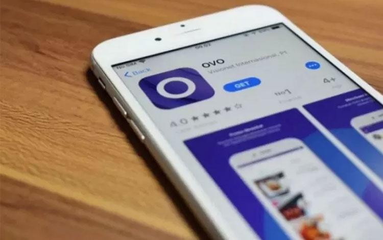  Lepas Saham, Lippo Group Tetap Dukung Pertumbuhan OVO
