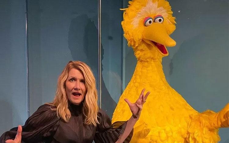  Laura Dern Aktris Pendukung Terbaik Golden Globe 2020