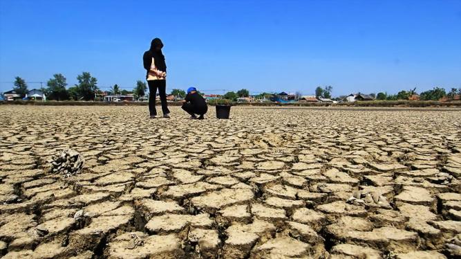  BMKG Prakirakan Awal Musim Kemarau Dimulai April 2020