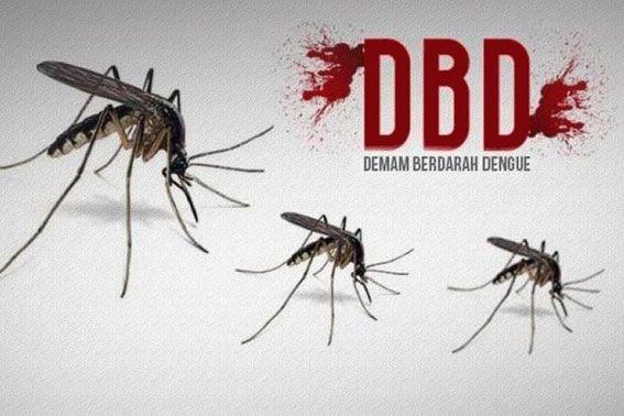  Tujuh Tanda Bahaya Demam Berdarah Dengue Ini Mesti Anda Waspadai