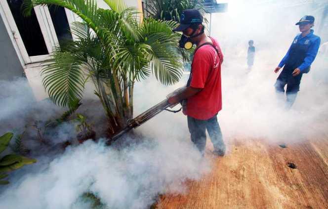  Kemenkes Ingatkan Masyarakat Waspadai DBD saat Pandemi COVID-19