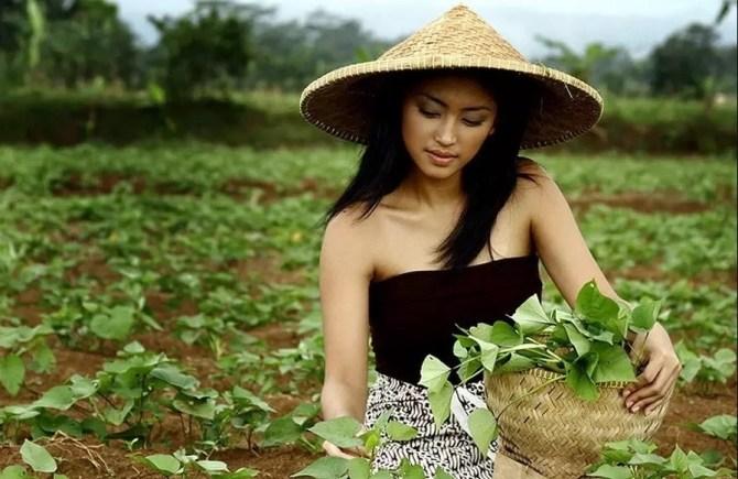  Wajib Dicoba! Cara Menambah Penghasilan di Desa tanpa Modal