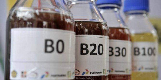  Indonesia Produsen Biodiesel Terbesar di Dunia, Kalahkan AS, Brazil, dan Jerman