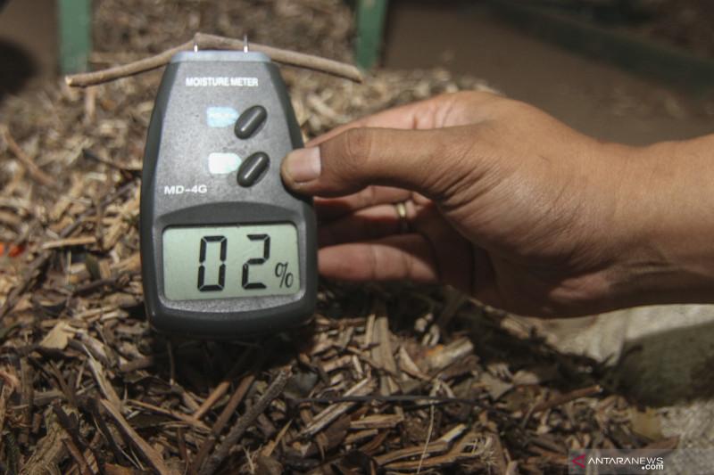  Potensi Melimpah, Indonesia Gandeng Jepang Gali dan Manfaatkan Biomassa Kayu