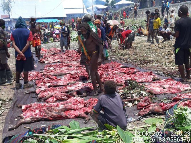  Wujud Syukur Tahbisan Tiga Putra Daerah, Warga Intan Jaya Gelar Pesta Bakar Batu 