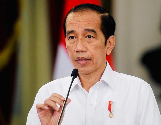  Presiden Jokowi Dorong  Percepatan Pengesahan RUU TPKS
