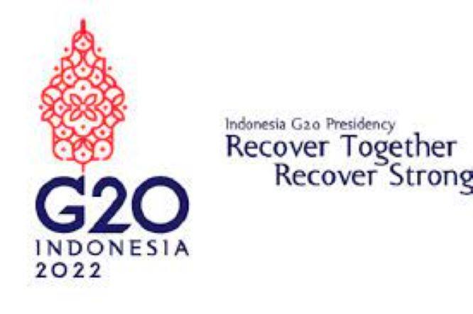  Presidensi Indonesia di G20 Bisa Berkontribusi Atasi Pandemi