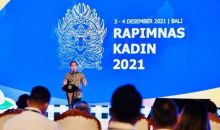 Presiden Jokowi Minta Dukungan Kadin Detailkan Kebijakan Pemerintah