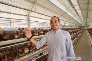 Keren, Petani Milenial Putu Dicka Witrayana Hasilkan Omzet Miliaran dari Telur
