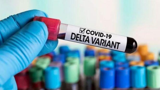  Varian Delta Masih Cukup Mendominasi di Beberapa Daerah