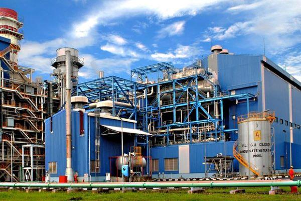  Selain Surya, Indonesia Persiapkan Pembangkit Bioenergi 600 Megawatt