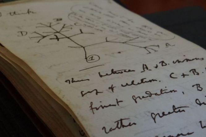  Buku Catatan Ikonis Charles Darwin Akhirnya Ditemukan Setelah Sempat Dicuri 20 Tahun