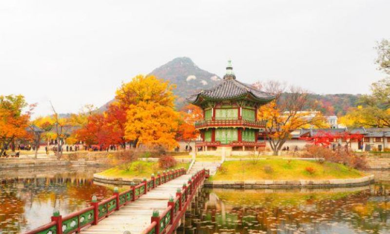 Wisata Glocal, Menikmati Beragam Pesona Korea Selatan