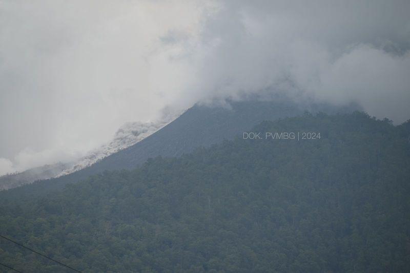  Gunung Lewotobi Laki-Laki Luncurkan Awan Panas Sejauh 1.500 Meter