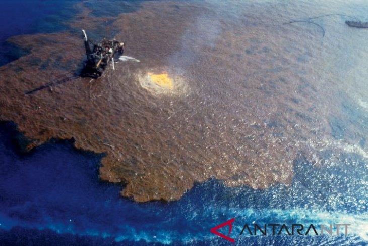 Ratusan Petani Rumput Laut NTT Korban Kilang Minyak Montara Mengadu ke Menko Marves