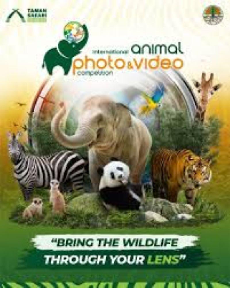  Taman Safari Gelar Kompetisi Foto dan Video Satwa IAPVC 2024