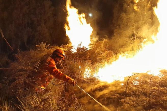  Setelah Sempat Padam, TNBTS Terbakar Lagi, TRC BPBD Jatim Berjibaku Padamkan Api