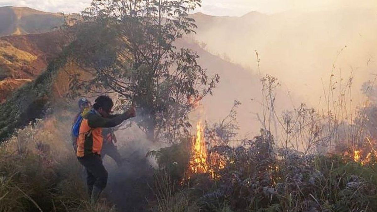  Balai Besar TNBTS akan Lakukan Penghitungan Luas Areal yang Terdampak Karhutla