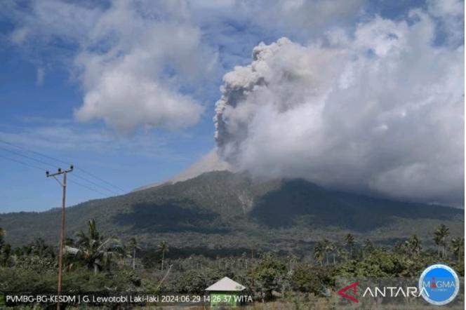  Gunung Lewotobi Laki-Laki Erupsi Lebih dari 10 Menit dengan Ketinggian Abu 900 Meter