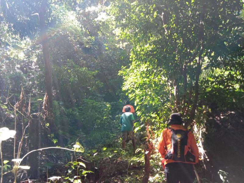  Nenek Berusia 74 Tahun Hilang di Hutan Mapitara, Tim SAR Gabungan Tutup Pencarian di Hari ke-7