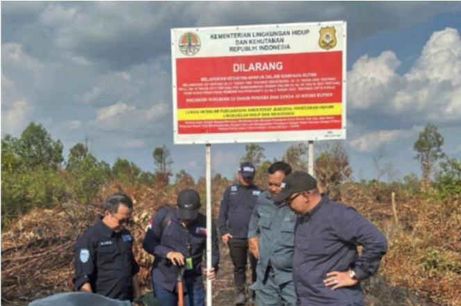  KLHK Segel 15 Hektare Lahan HPK yang Terbakar di Riau