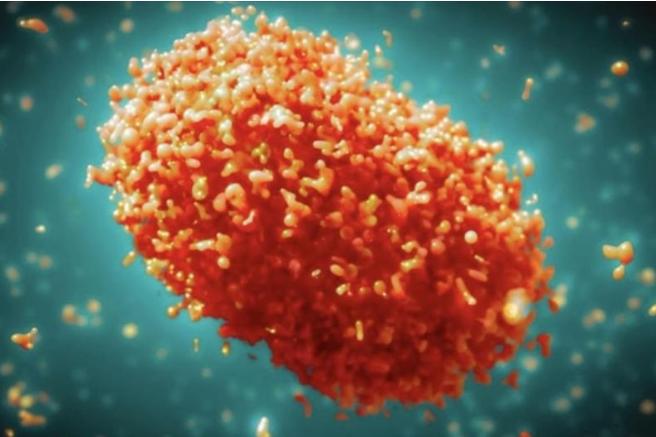  Kasus Mpox di Australia Melonjak 570 Persen Sejak Juli