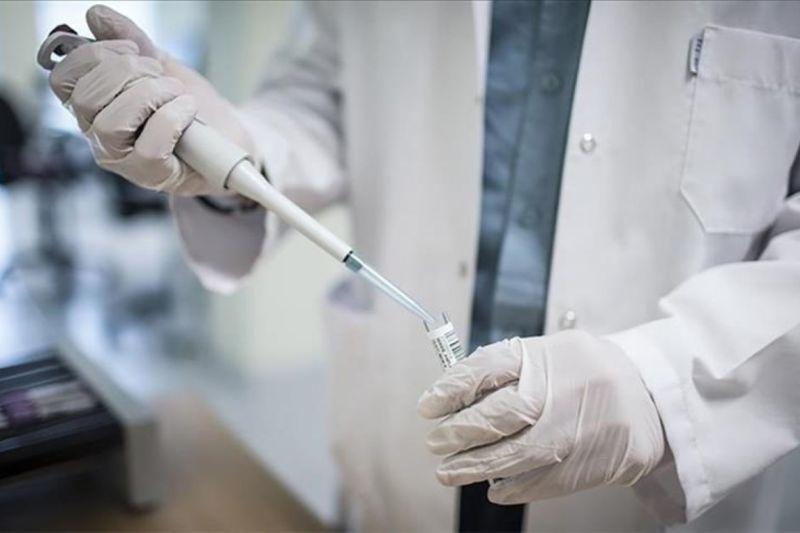  Taliban Cari Bantuan Cegah Penyebaran Mpox di Afghanistan