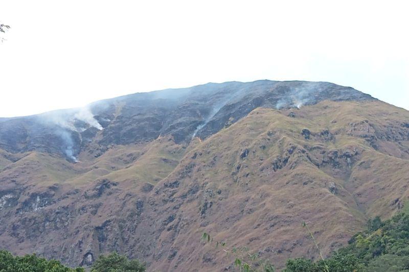  Kawasan Bukit Dara di Kaki Gunung Rinjani Terbakar