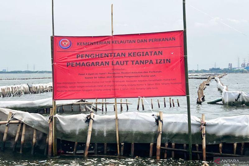  Sudah Penuhi Panggilan, KKP Sebut PT TRPN Terancam Sanksi soal Pagar Laut Bekasi