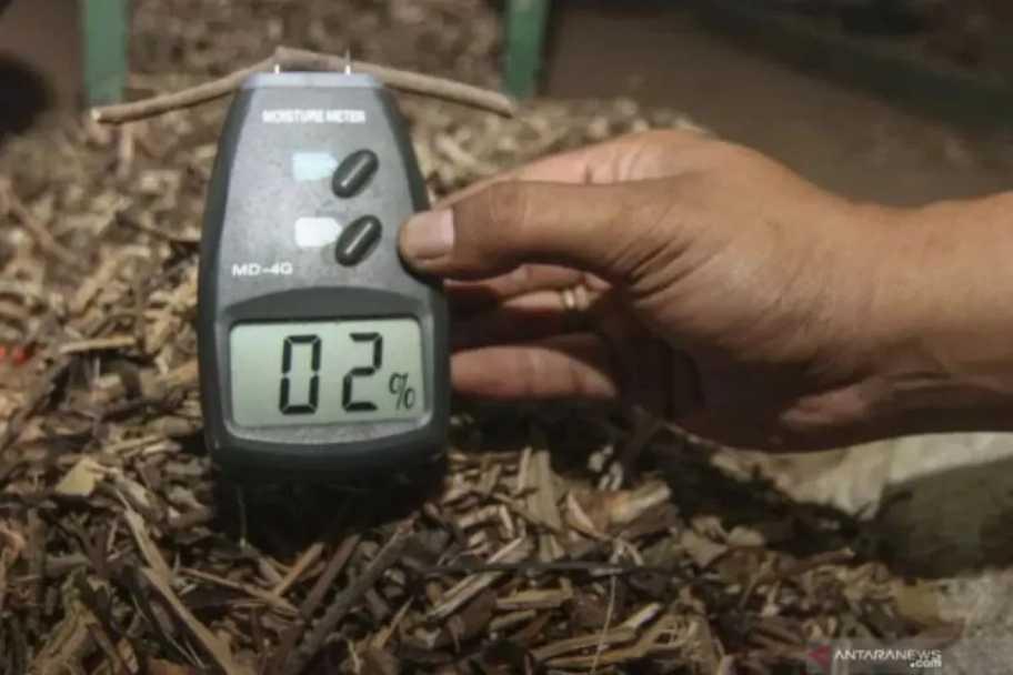  Biomassa Indonesia Tembus Pasar Jepang, Raup Transaksi Rp1,04 Triliun
