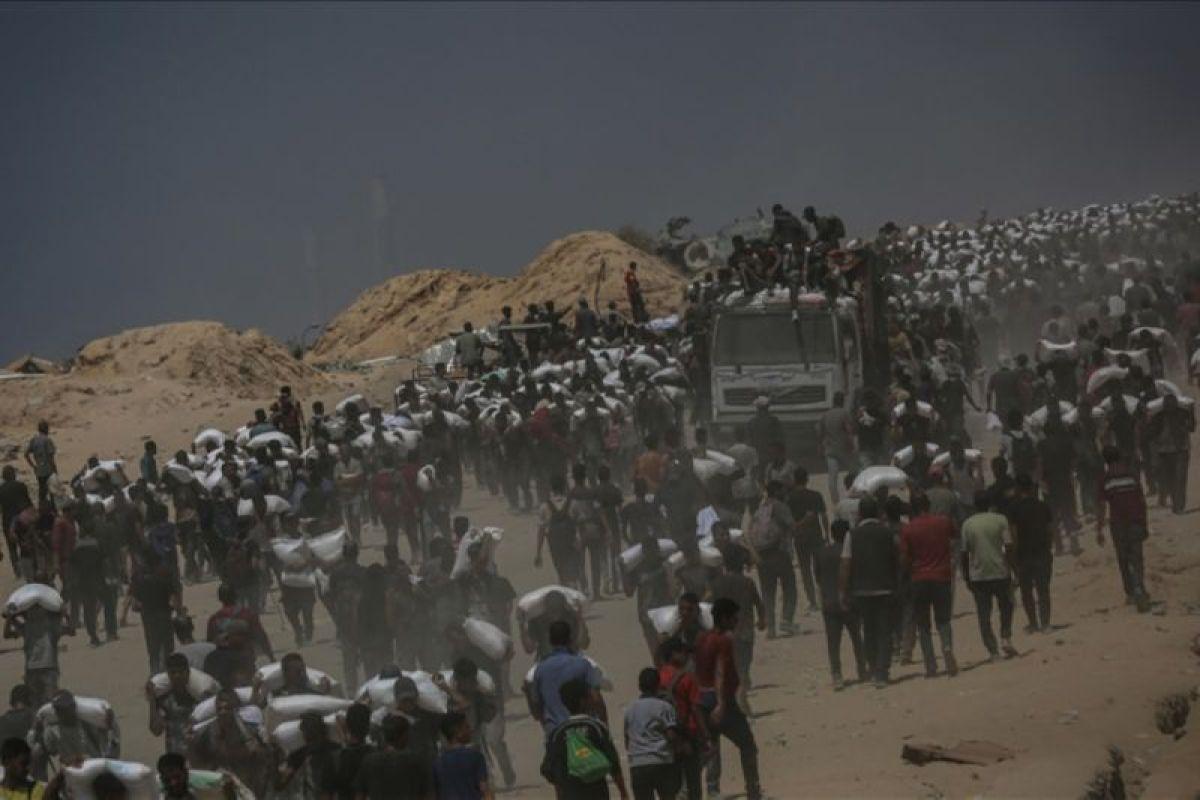  Hanya 73 Truk Bantuan yang Tiba dalam 24 Jam Terakhir, Kelaparan di Gaza Kian Memburuk