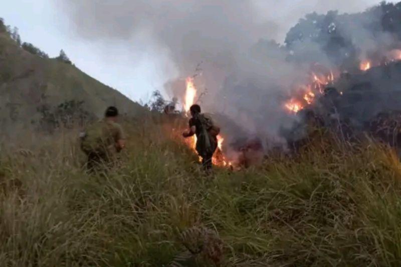  Kebakaran Savana Peropok Bukit Gedong di Rinjani Hanguskan 70 Hektare Lahan