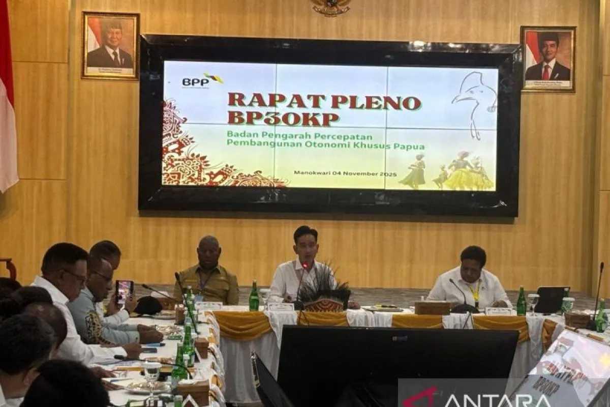  Wapres Gibran Dorong Percepatan Pembangunan Papua Lewat Dua Lembaga Khusus