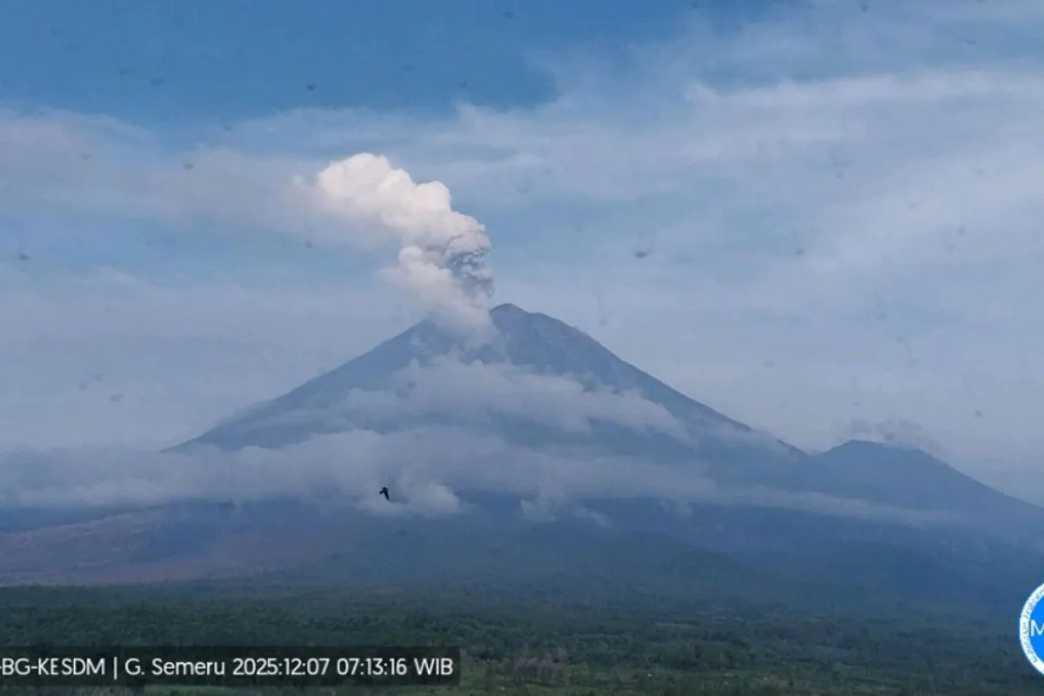  Aktivitas Gunung Semeru Masih Tinggi, Gempa Letusan Terjadi Puluhan Kali per Hari