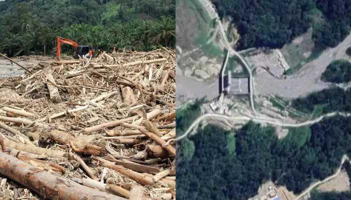  WALHI Desak Kementerian Kehutanan Tindak Aktivitas Ilegal  dan Cabut Izin Perusahaan Perusak Hutan di Sumatera