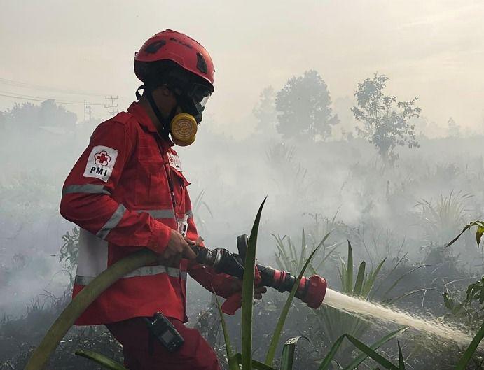  BNPB: Karhutla Seluas 435,578 Hektar di Kalbar Telah Ditangani Secara Optimal