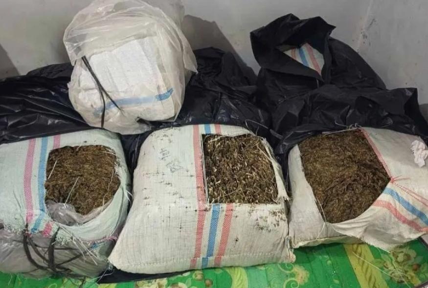  Bawa 50 Kg Ganja, Pria Asal Aceh Tengah Diciduk di Jalan Lintas Banda Aceh-Medan