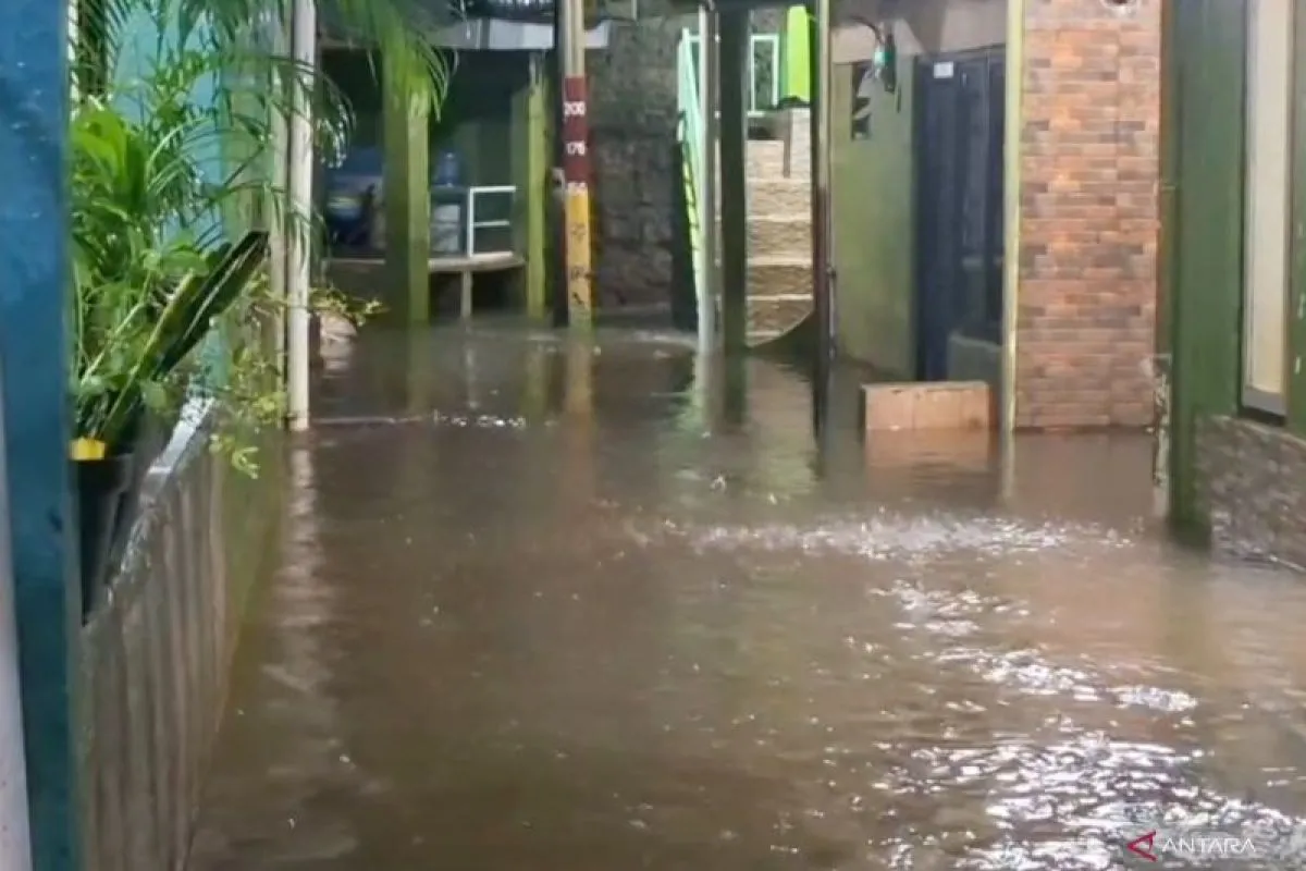  Hujan Deras dan Luapan Ciliwung Rendam Kebon Pala hingga 1 Meter