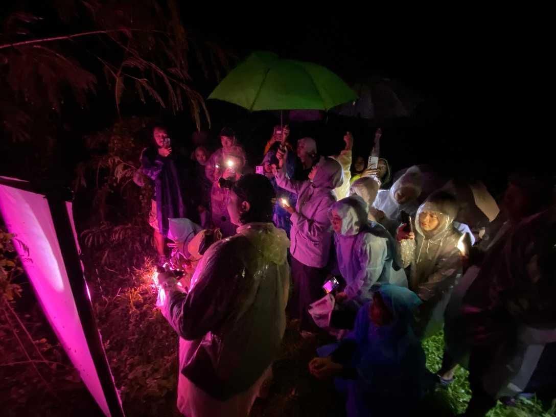  Jelajah Serangga Nocturnal Nara Kupu Jogja Sukses Digelar, Hujan Tak Surutkan Antusias 200 Peserta