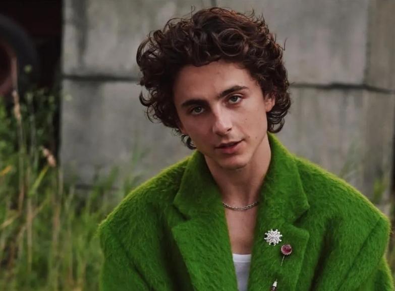  Aktor Timothee Chalamet Yakin Bioskop Tetap Punya Masa Depan di Era Streaming