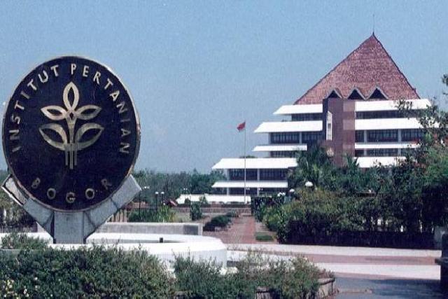  Kabar Gembira, Tahun Ini IPB Terima 200 Mahasiswa Baru dari Jalur  Ketua OSIS 