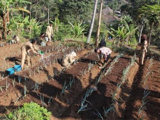  SMK PPN, Sekolah Kopi Pertama di Indonesia