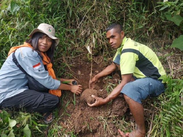  Menuju 1 Dekade, Mapala UNIPA Tanam Pohon di Mata Air Mahe Gete Kloangpopot