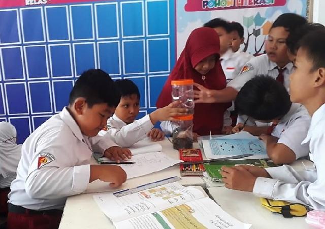  Begini Cara Guru Kembangkan Sikap Ilmiah Pada Siswa