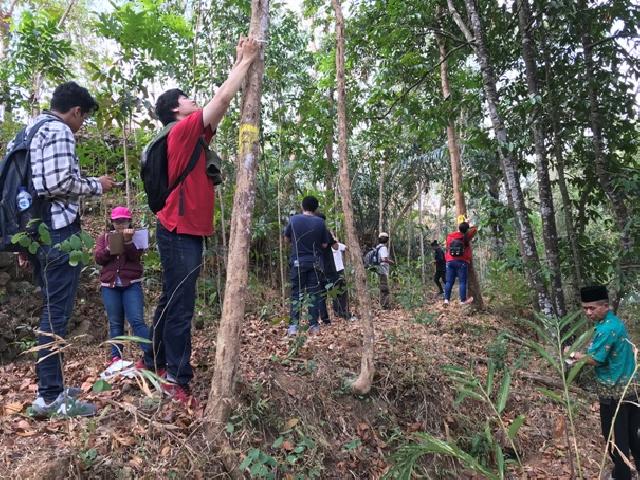  Teknologi RFID Bantu Lacak Legalitas Kayu